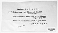 Thekopsora areolata image